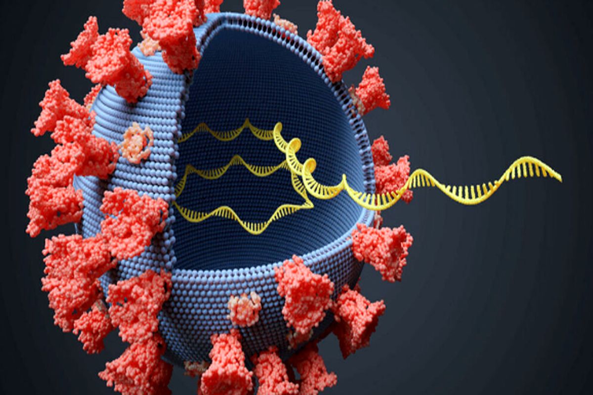 نانوذرات لیپیدها، mRNA و توانایی مقاومت در برابر ویروس