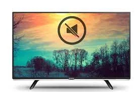 تلویزیون