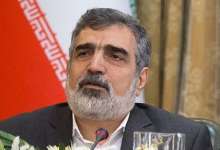 کمالوندی: برای دو سال آینده نیازی به تعمیر نیروگاه هسته ای بوشهر نخواهیم داشت / روسیه 38 تن سوخت به نیروگاه بوشهر داده است