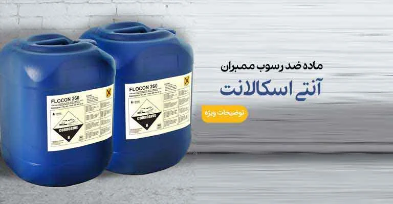 عمومی