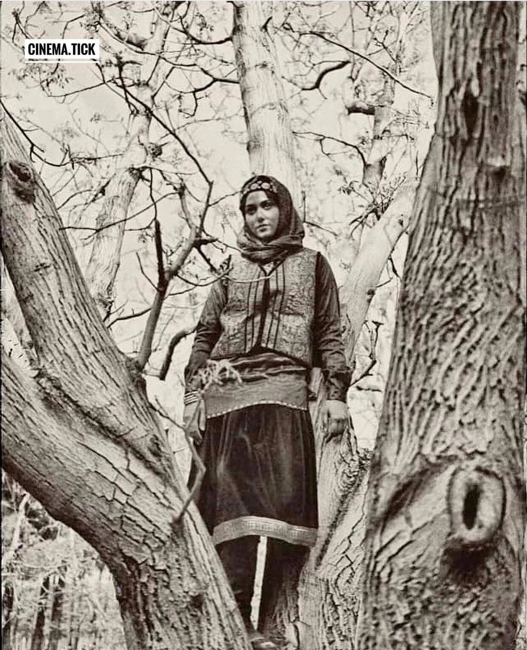 فرهنگ و هنر
