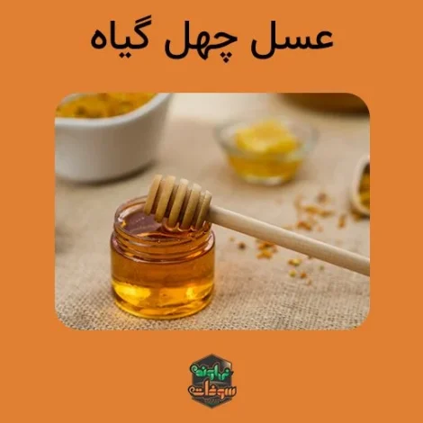 عمومی