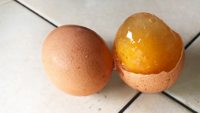 میزان خطر استفاده از تخم‌مرغ‌های یخ‌زده