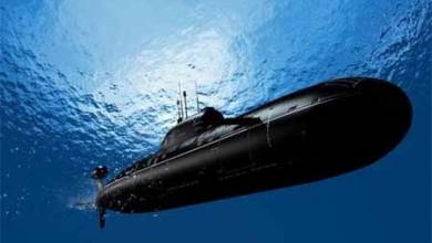مشاهده کوسه در فاصله ۲۰ سانتی‌متری با «تراموای زیردریایی»