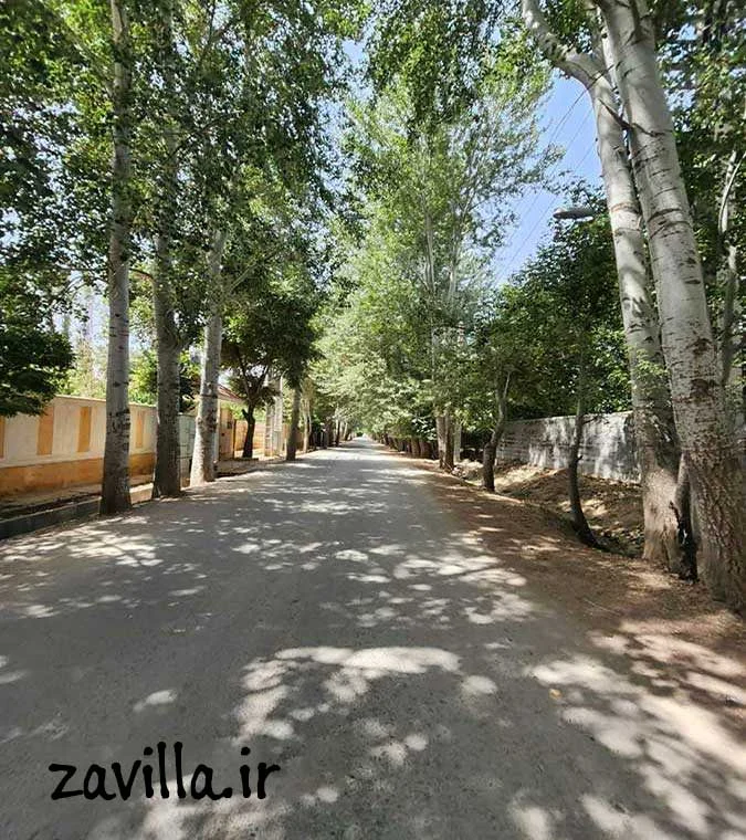 اجتماعی