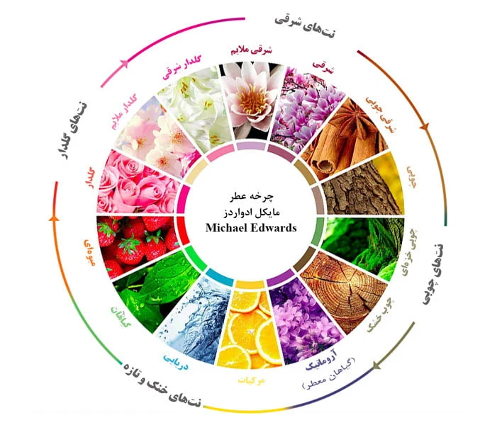 اجتماعی