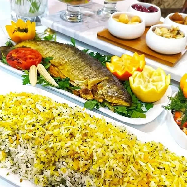 علمی و پزشکی