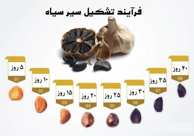علمی و پزشکی