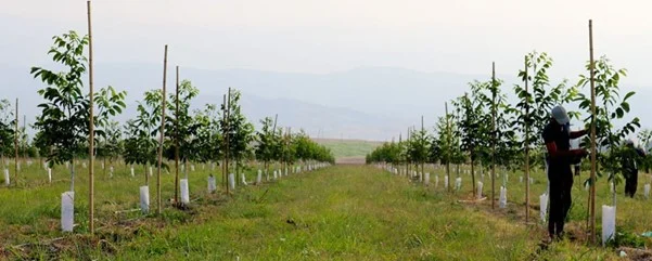 علمی و پزشکی