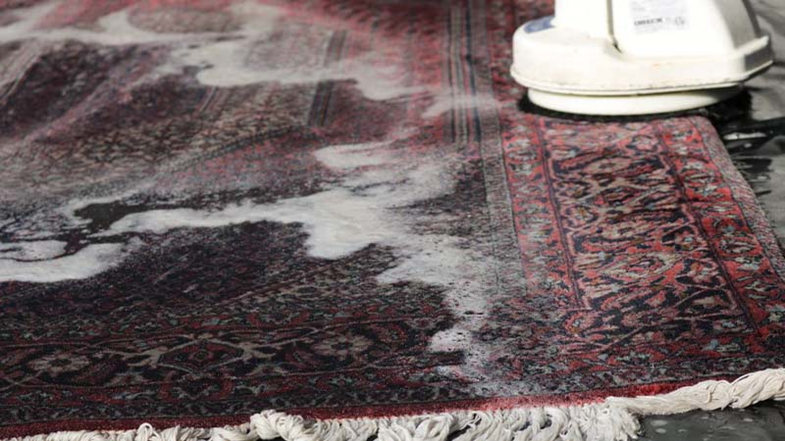 بهترین قالیشویی در کرج نی نی سایت | قالیشویی ادیب کرج | قالیشویی ارزان در کرج