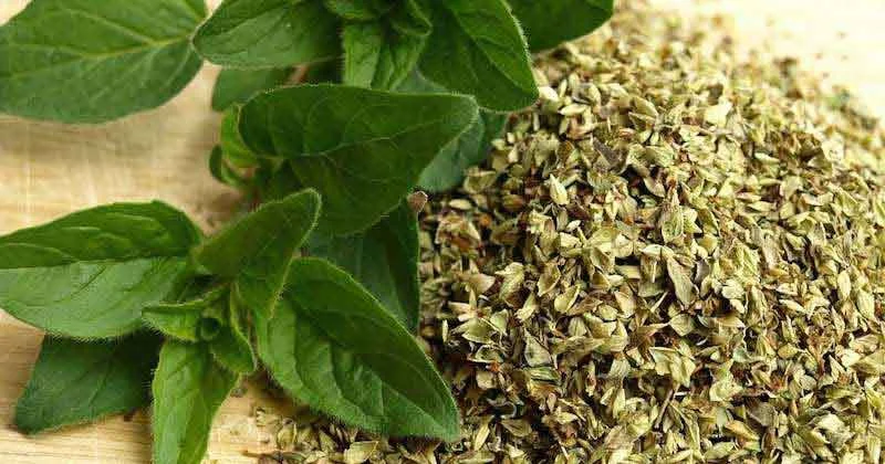 علمی و پزشکی
