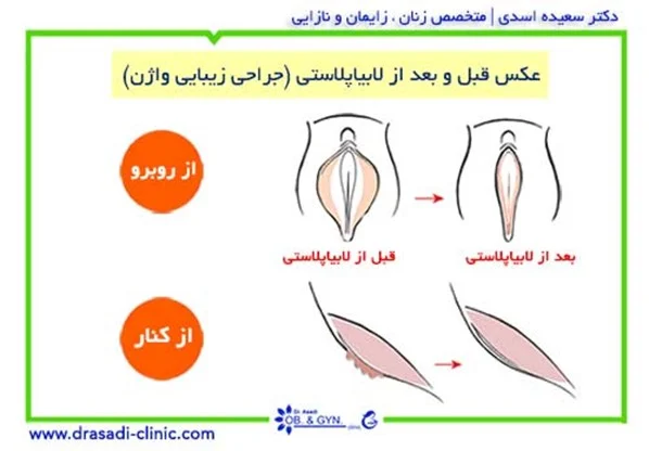 تهران