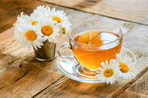 بزرگترین تولید کننده چای در ایران | بزرگترین شرکت وارد کنندگان چای در ایران | بزرگترین وارد کنندگان چای در ایران