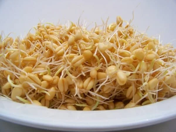 علمی و پزشکی