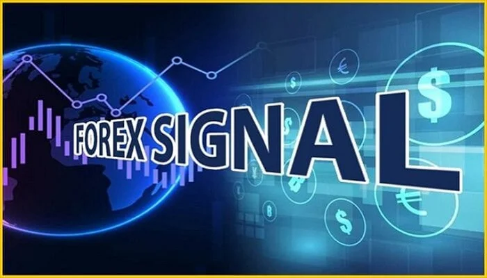 What is the connection between risk management and forex signals?