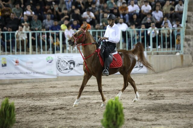 نمایش اسب‌های اصیل ایران
