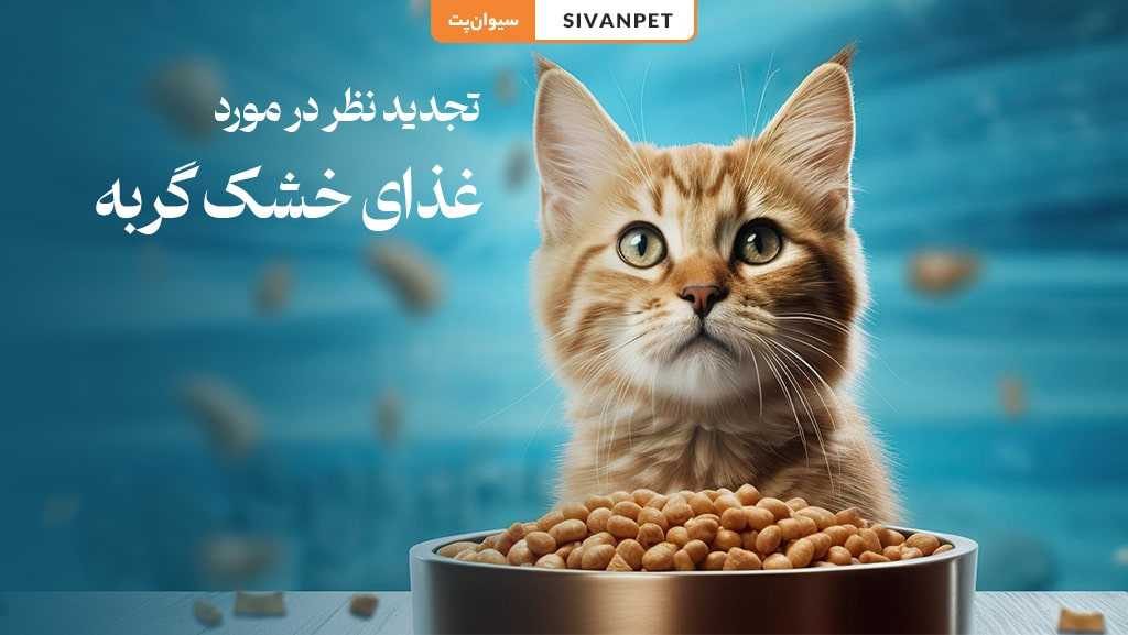 غذای خشک | گربه