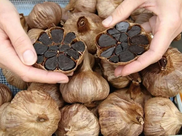 علمی و پزشکی