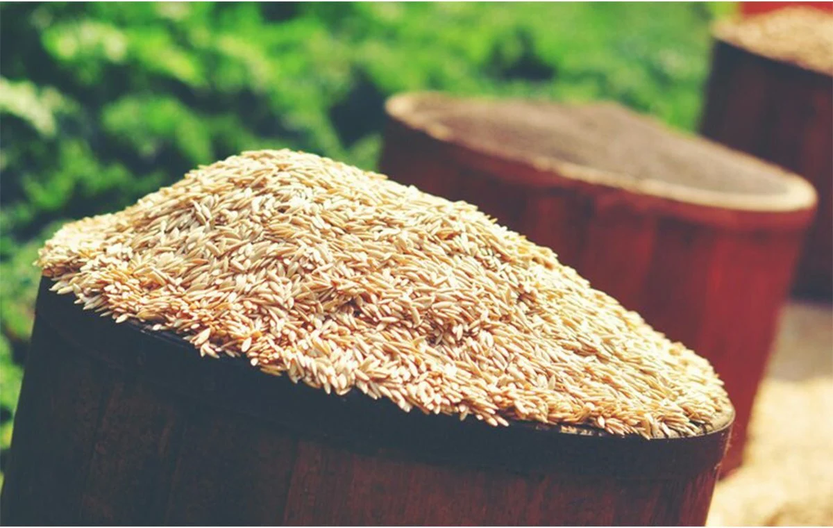 علمی و پزشکی