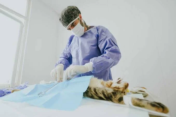 بیماری